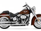 2011 Harley-Davidson Harley Davidson FLSTN Softail Deluxe